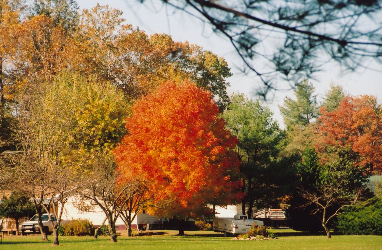 A and M in Shenandoah 9